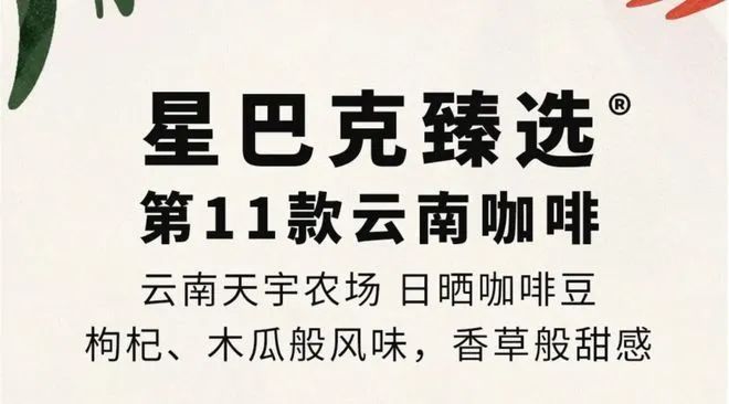 ：彩云之南的馥郁传奇开元棋牌试玩云南咖啡(图1)