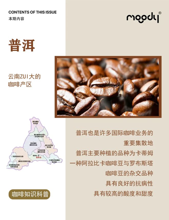 ：彩云之南的馥郁传奇开元棋牌试玩云南咖啡(图19)